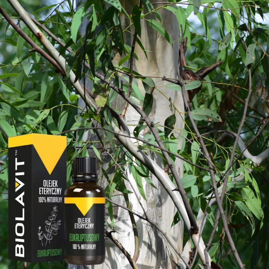 olejek-eteryczny-eukaliptus-30ml