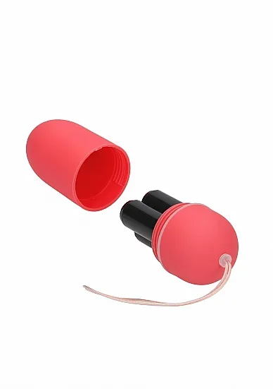 10-speed-remote-vibrating-egg-big-pink