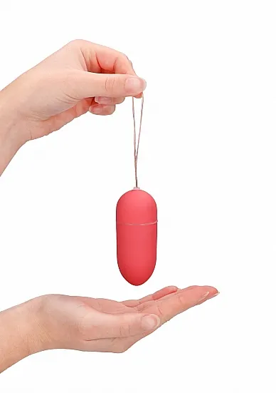 10-speed-remote-vibrating-egg-big-pink