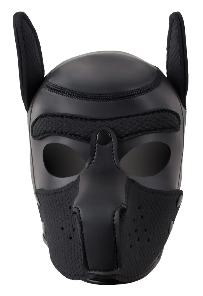 bad-kitty-dog-mask