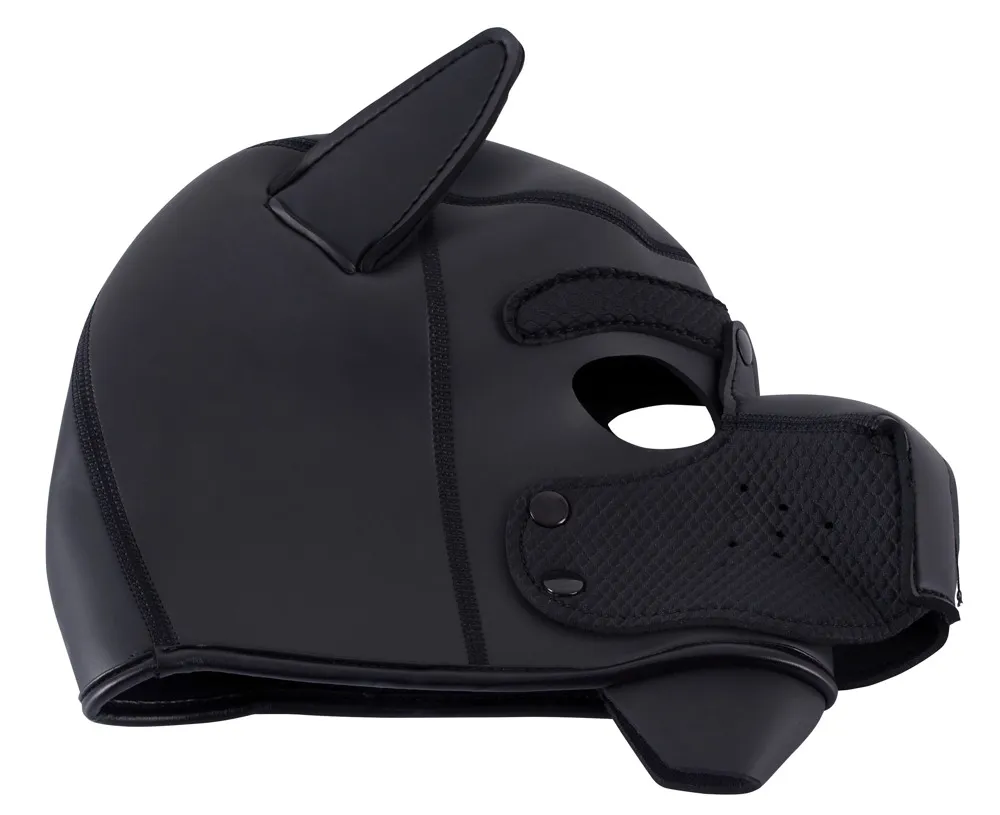 bad-kitty-dog-mask