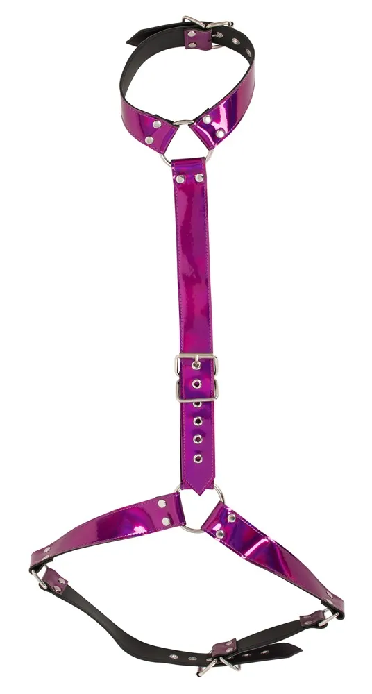 bk-harness-s-l