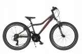 rower-junior-24-kands-dragon-alu