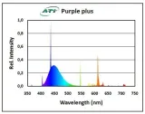 ati-purple-plus-24-wat