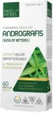 andrographis-paniculata-borelioza-medica-harbs
