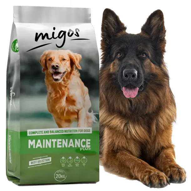 migos-maintenance-plus-sucha-karma-dla-psa-20kg