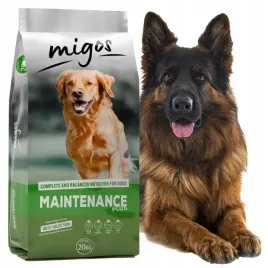 migos-maintenance-plus-sucha-karma-dla-psa-20kg