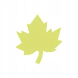 dziurkacz-ozdobny-5cm-klon-rodzaj-brzegowy