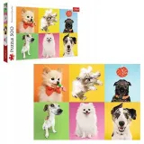puzzle-500-psy-trefl