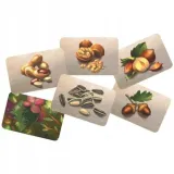 gra-dzien-bobry-granna-8-czas-rozgrywki-do-15-minut