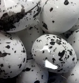 jajka-styropianowe-nakrapiane-wpj-5731