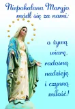 plakat-niepokalane-serce