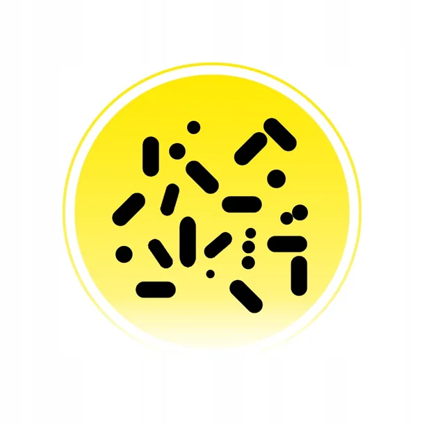 bakterie-do-szamba-sanidenn-plus-usuwa-zapach-tluszcz-kozuch-na-rok-rodzaj-oczyszczalni-biologiczna