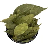 lisc-laurowy-premium-50g-wawrzyn-szlachetny-jakosc-wyjatkowy-smak-i-aromat-rodzaj-lisc-laurowy