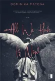 all-we-have-is-now