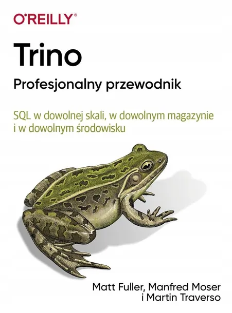trino-profesjonalny-przewodnik