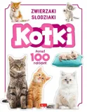 kotki