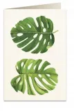 karnet-b6-koperta-6015-monstera
