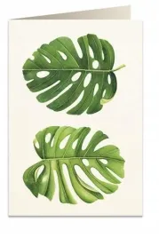 karnet-b6-koperta-6015-monstera