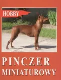 pinczer-miniaturowy