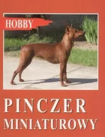 pinczer-miniaturowy
