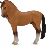 kon-campolina-stallion-red-dun