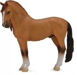 kon-campolina-stallion-red-dun