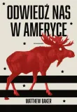 odwiedz-nas-w-ameryce