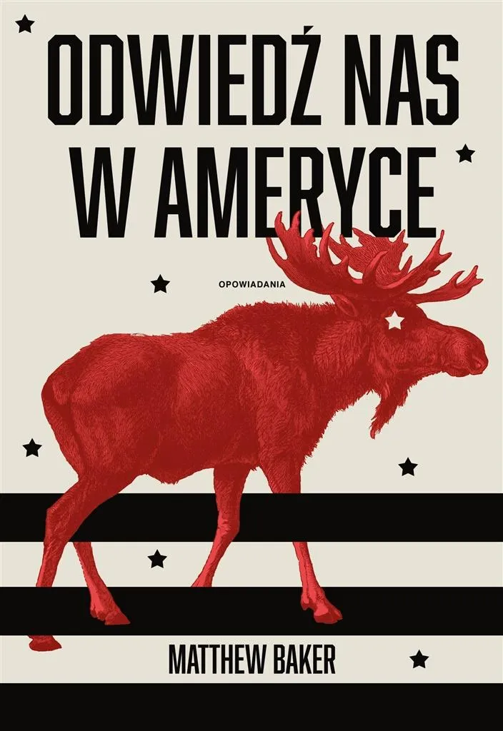 odwiedz-nas-w-ameryce