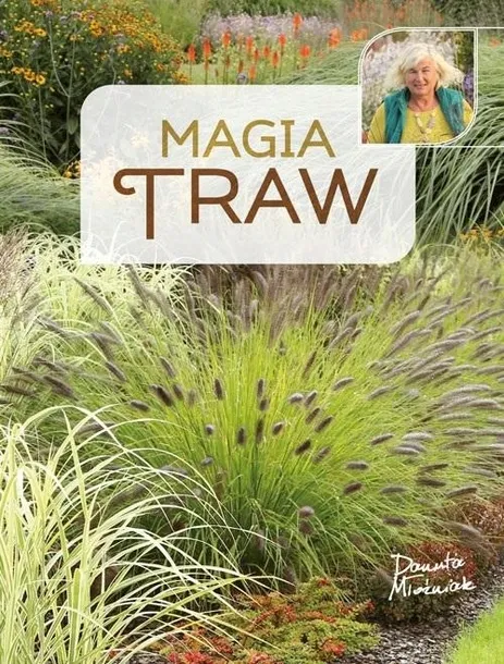 magia-traw