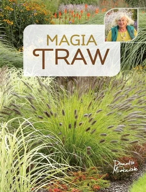 magia-traw