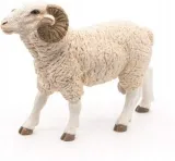 baran