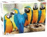 puzzle-500-animal-parrots