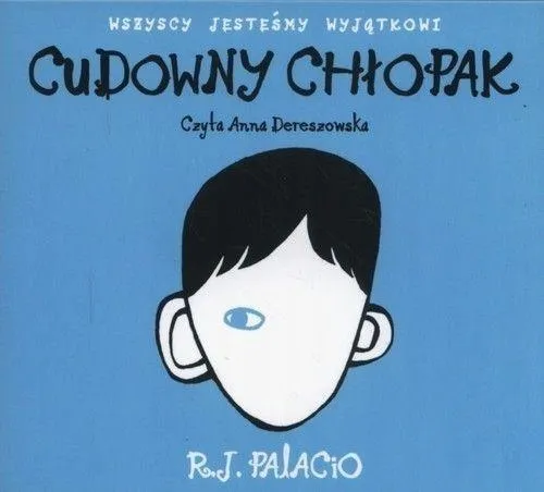 cudowny-chlopak-audiobook