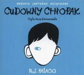cudowny-chlopak-audiobook