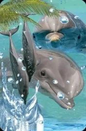 mini-kartka-3d-delfin