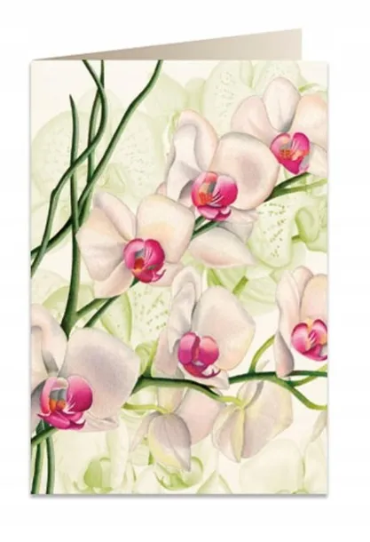 karnet-b6-koperta-5723-biala-orchidea