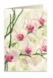 karnet-b6-koperta-5723-biala-orchidea