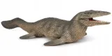 tylosaurus