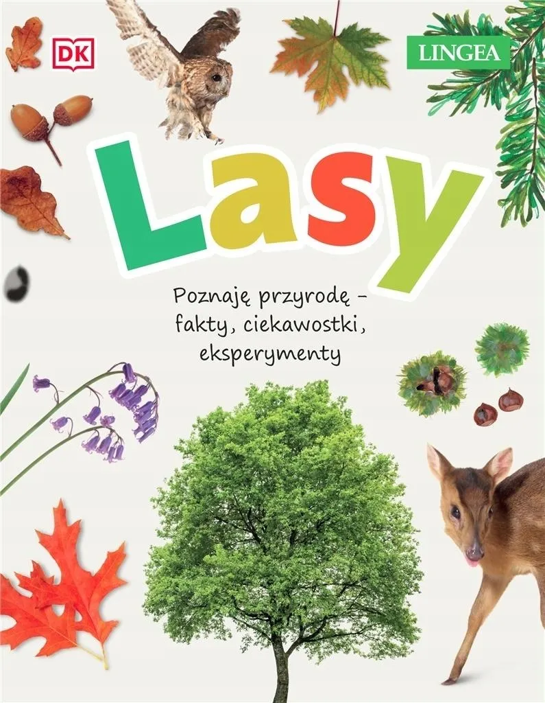 lasy