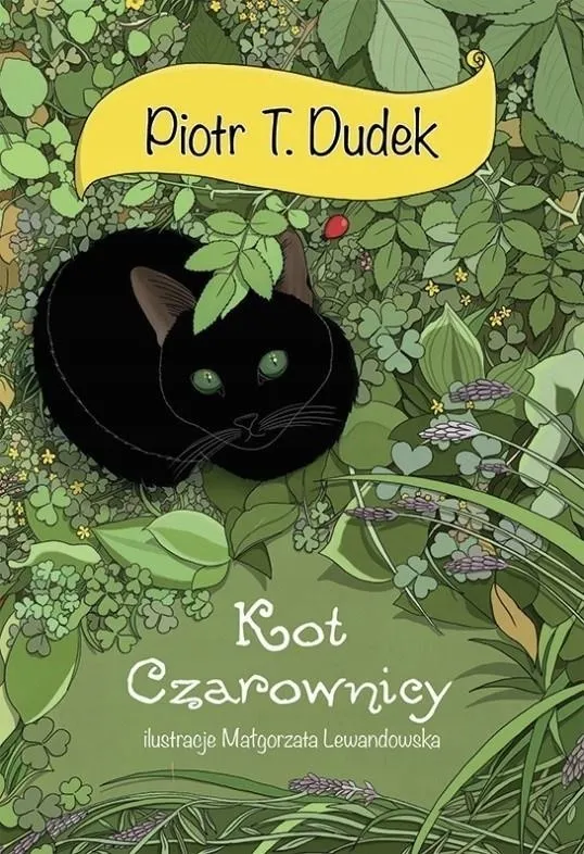 kot-czarownicy