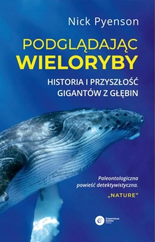 podgladajac-wieloryby