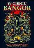 w-cieniu-bangor
