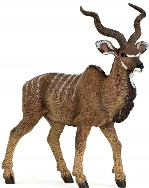 antylopa-kudu-wielka