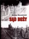 sad-bozy