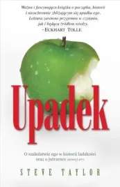 upadek-steve-taylor