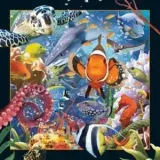 magnes-3d-ocean