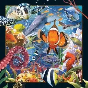 magnes-3d-ocean
