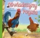 oswiadczyny-koguta