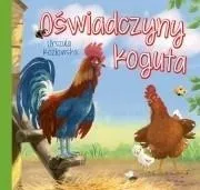 oswiadczyny-koguta